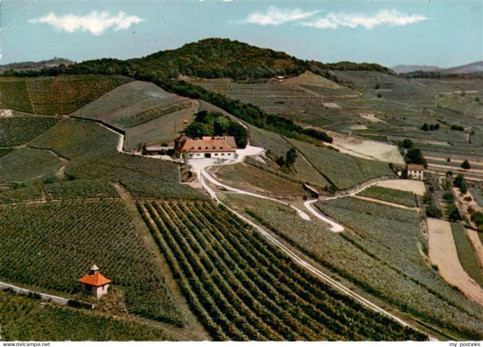 73929122 Ihringen_Kaiserstuhl Blankenhornsberg Versuchs Und Lehrgut Fuer Weinbau - Ihringen