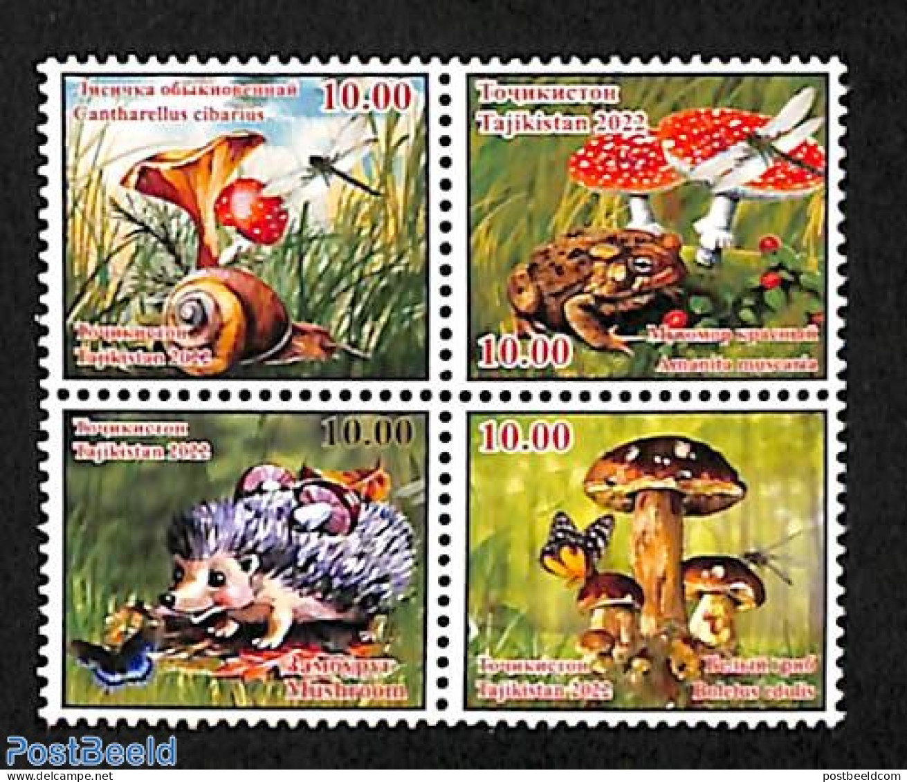 Tajikistan 2023 Mushrooms & Animals 4v [+], Mint NH, Nature - Animals (others & Mixed) - Butterflies - Frogs & Toads -.. - Funghi