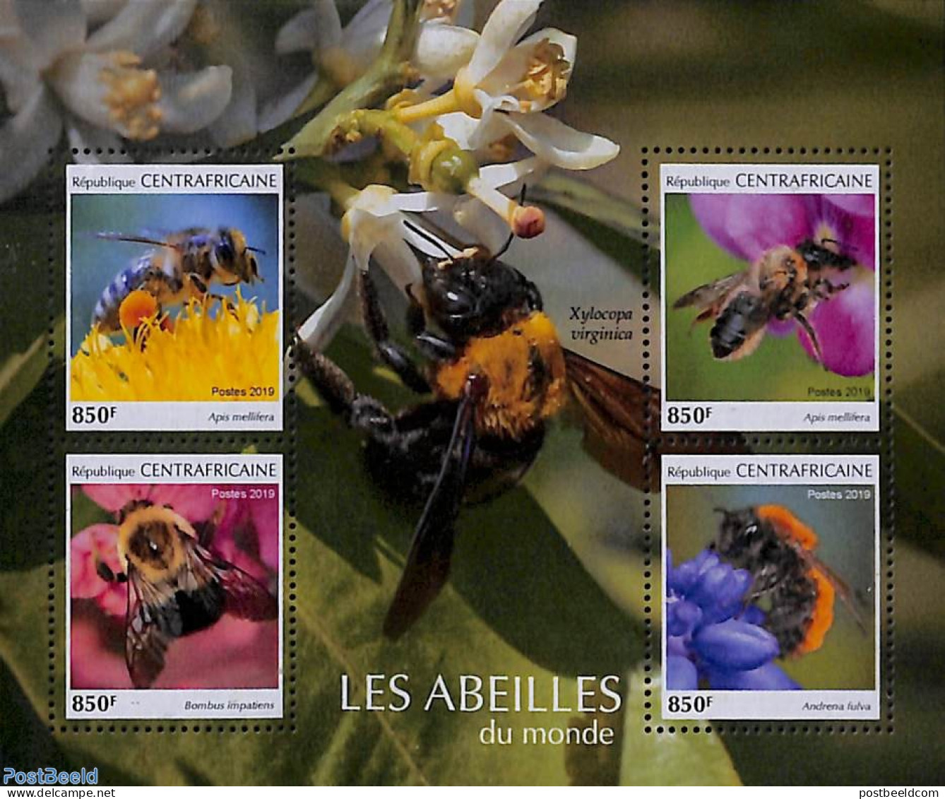 Central Africa 2019 Bees 4v M/s, Mint NH, Nature - Bees - Insects - República Centroafricana