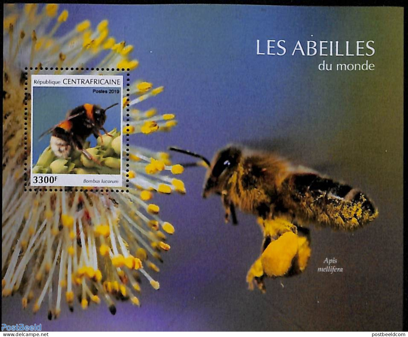 Central Africa 2019 Bees S/s, Mint NH, Nature - Bees - Insects - República Centroafricana