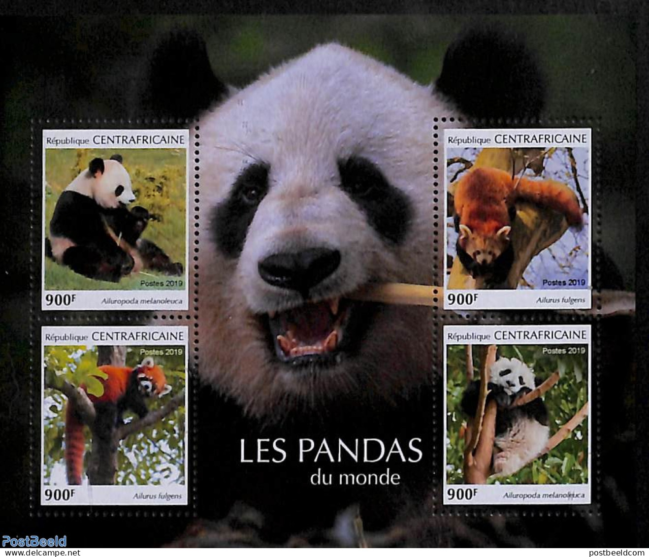 Central Africa 2019 Panda 4v M/s, Mint NH, Nature - Pandas - Centrafricaine (République)