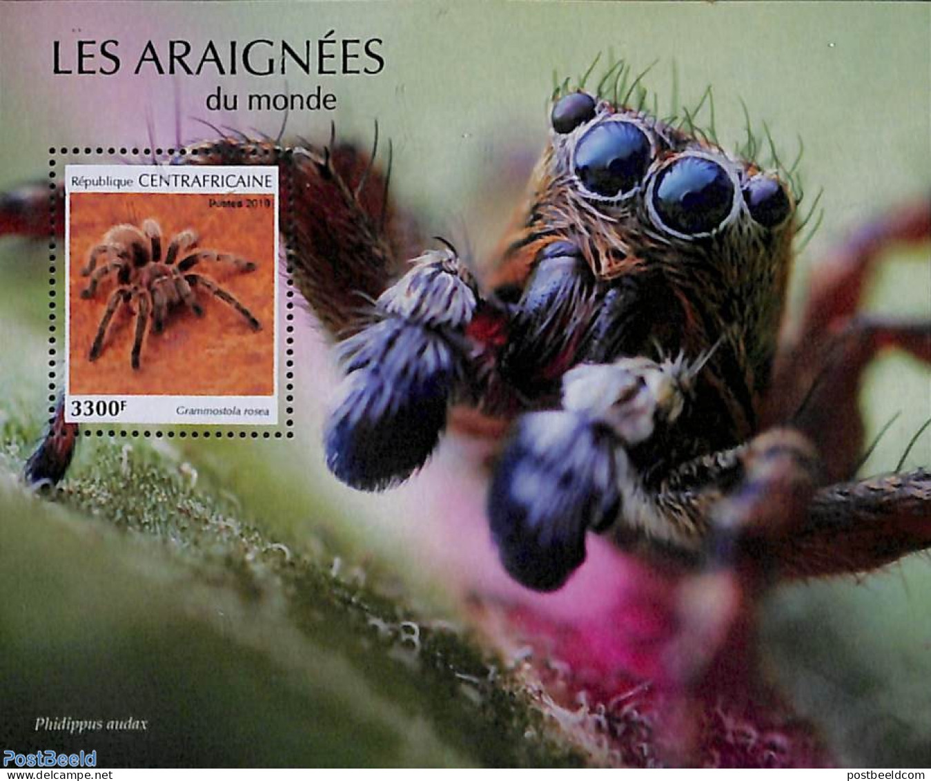 Central Africa 2019 Spiders S/s, Mint NH, Nature - Animals (others & Mixed) - República Centroafricana