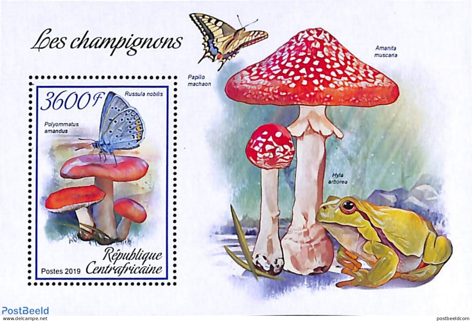 Central Africa 2019 Mushrooms S/s, Mint NH, Nature - Mushrooms - Champignons