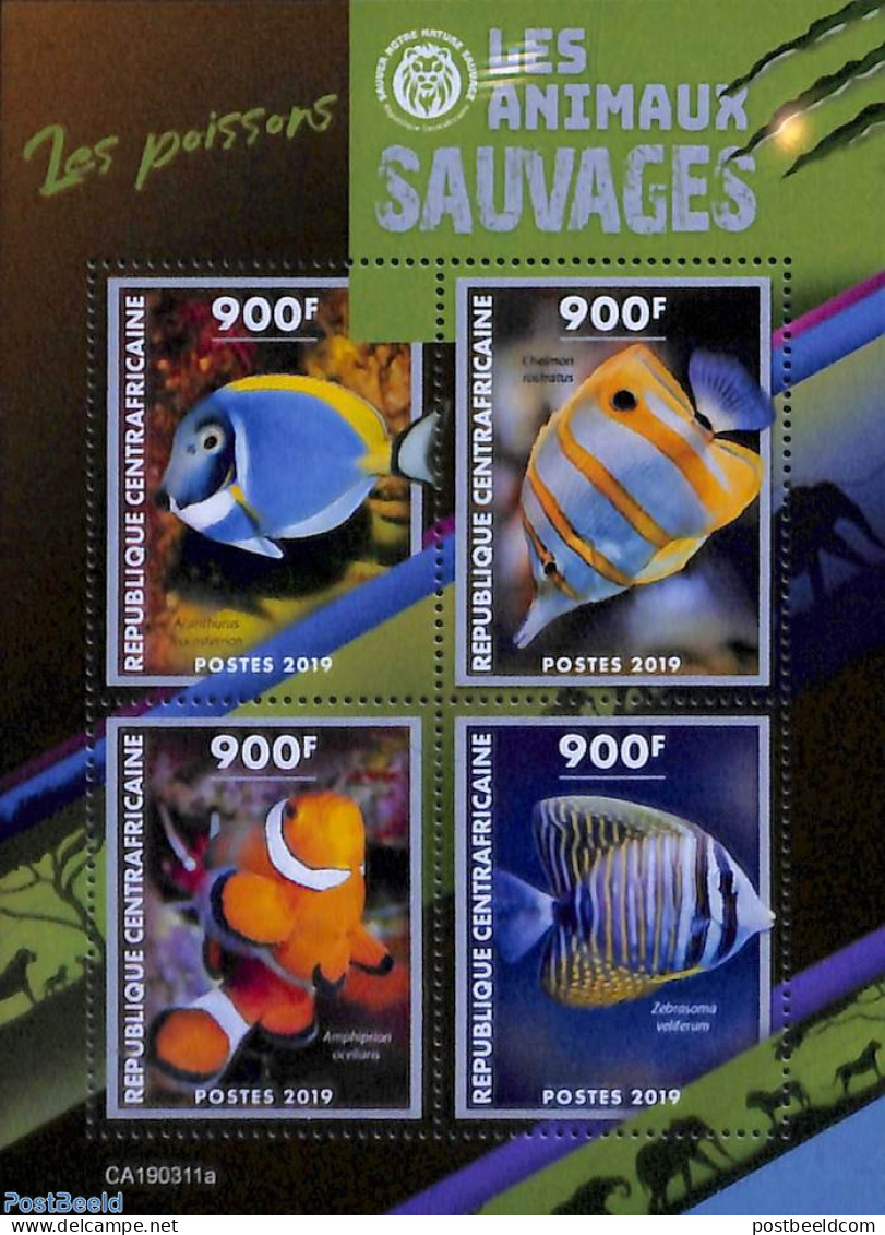Central Africa 2019 Fish 4v M/s, Mint NH, Nature - Fish - Fishes