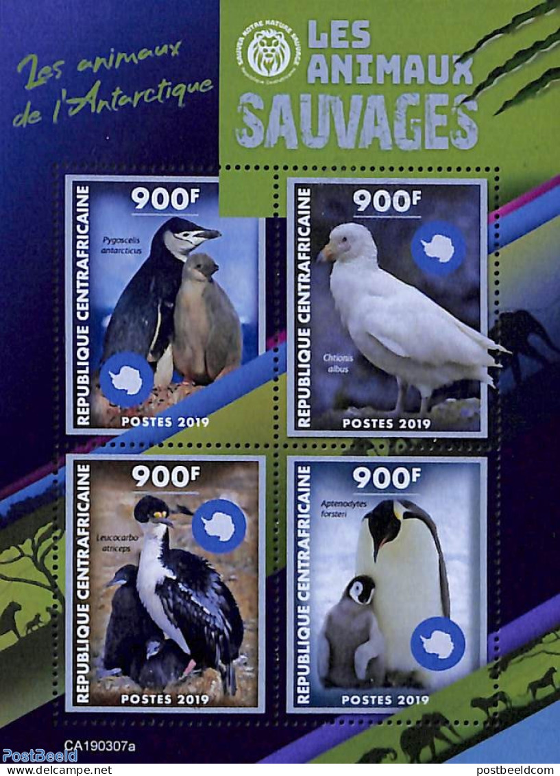 Central Africa 2019 Antarctic Animals 4v M/s, Mint NH, Nature - Science - Birds - Penguins - The Arctic & Antarctica - Central African Republic