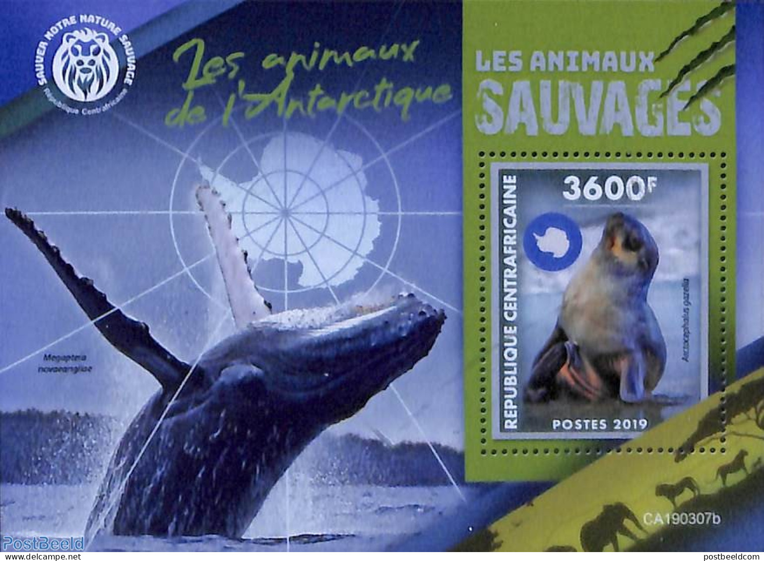 Central Africa 2019 Antarctic Animals S/s, Mint NH, Nature - Science - Sea Mammals - The Arctic & Antarctica - Centrafricaine (République)