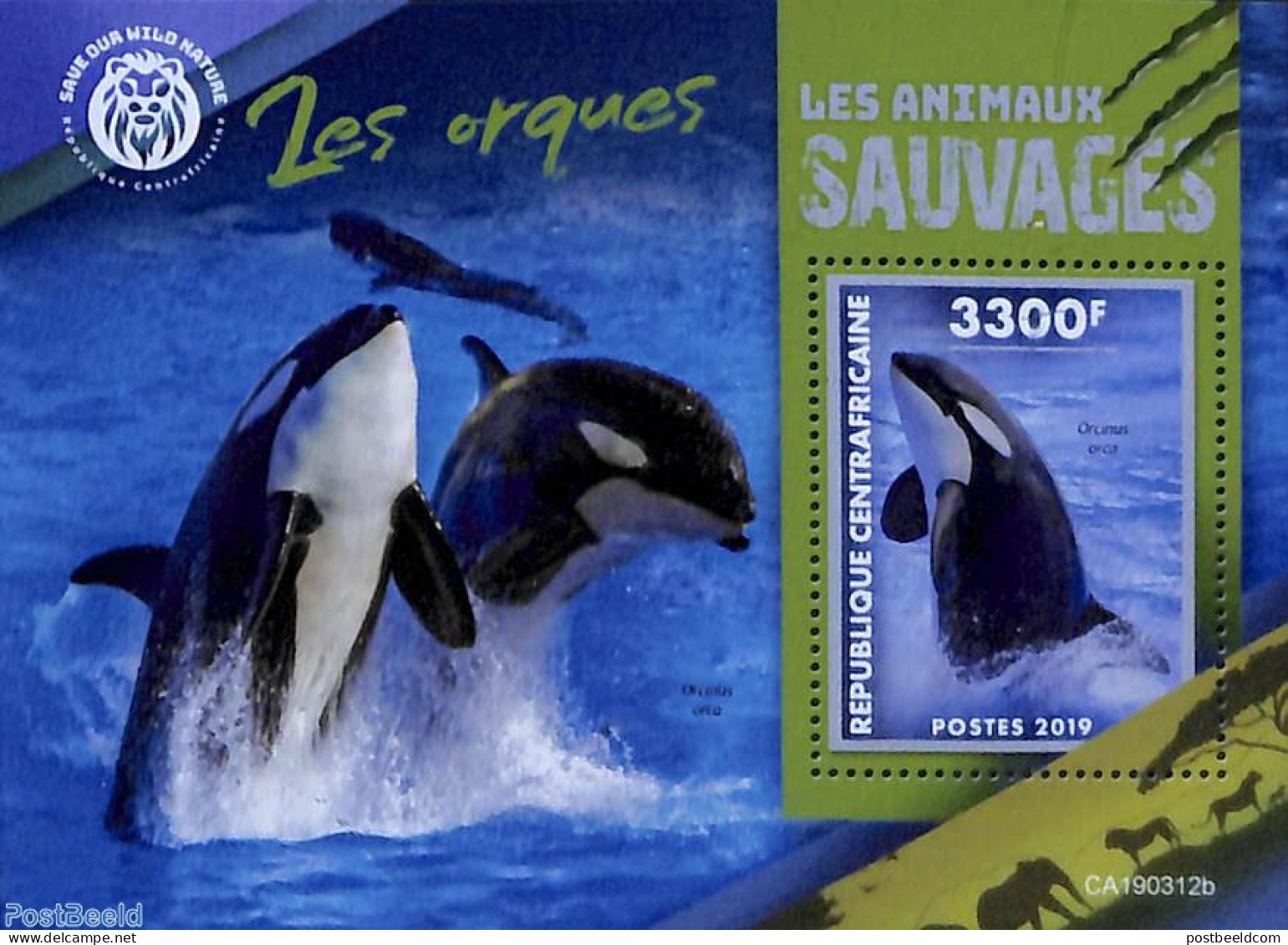 Central Africa 2019 Killer Whale S/s, Mint NH, Nature - Sea Mammals - Centrafricaine (République)