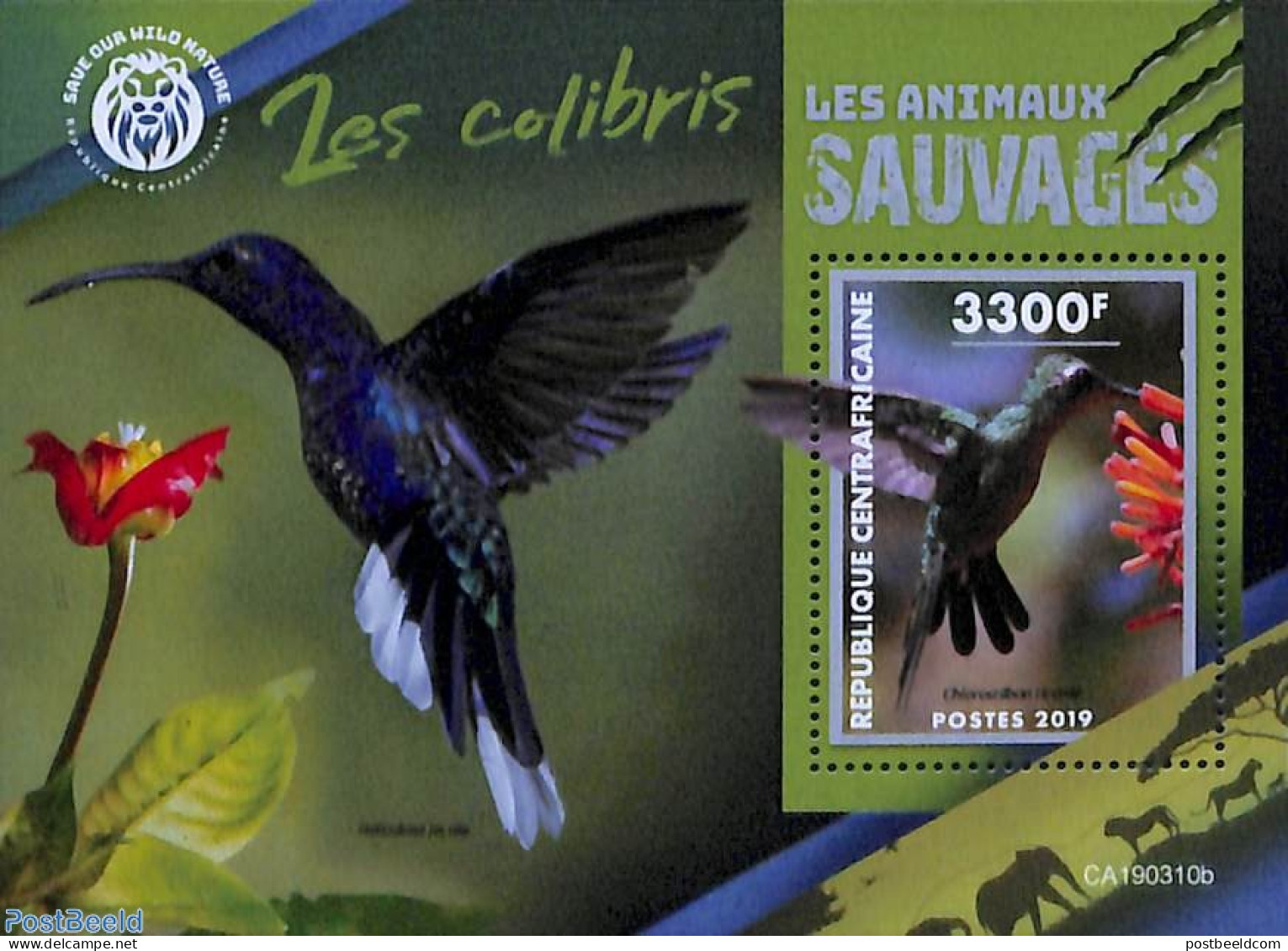 Central Africa 2019 Hummingbirds S/s, Mint NH, Nature - Birds - Hummingbirds - Repubblica Centroafricana