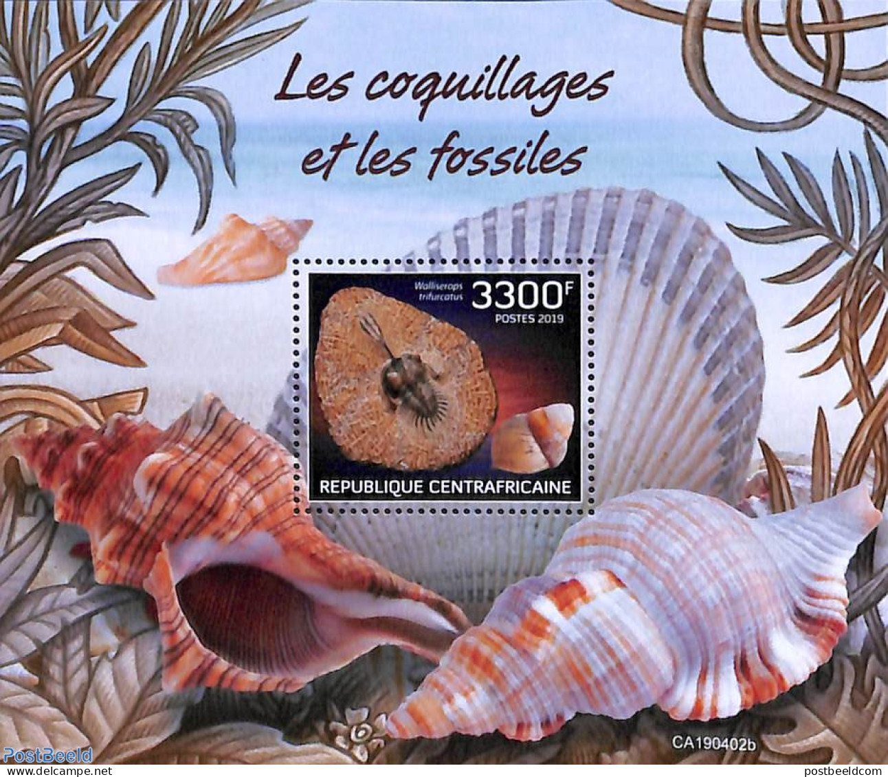 Central Africa 2019 Shells S/s, Mint NH, Nature - Shells & Crustaceans - Vie Marine