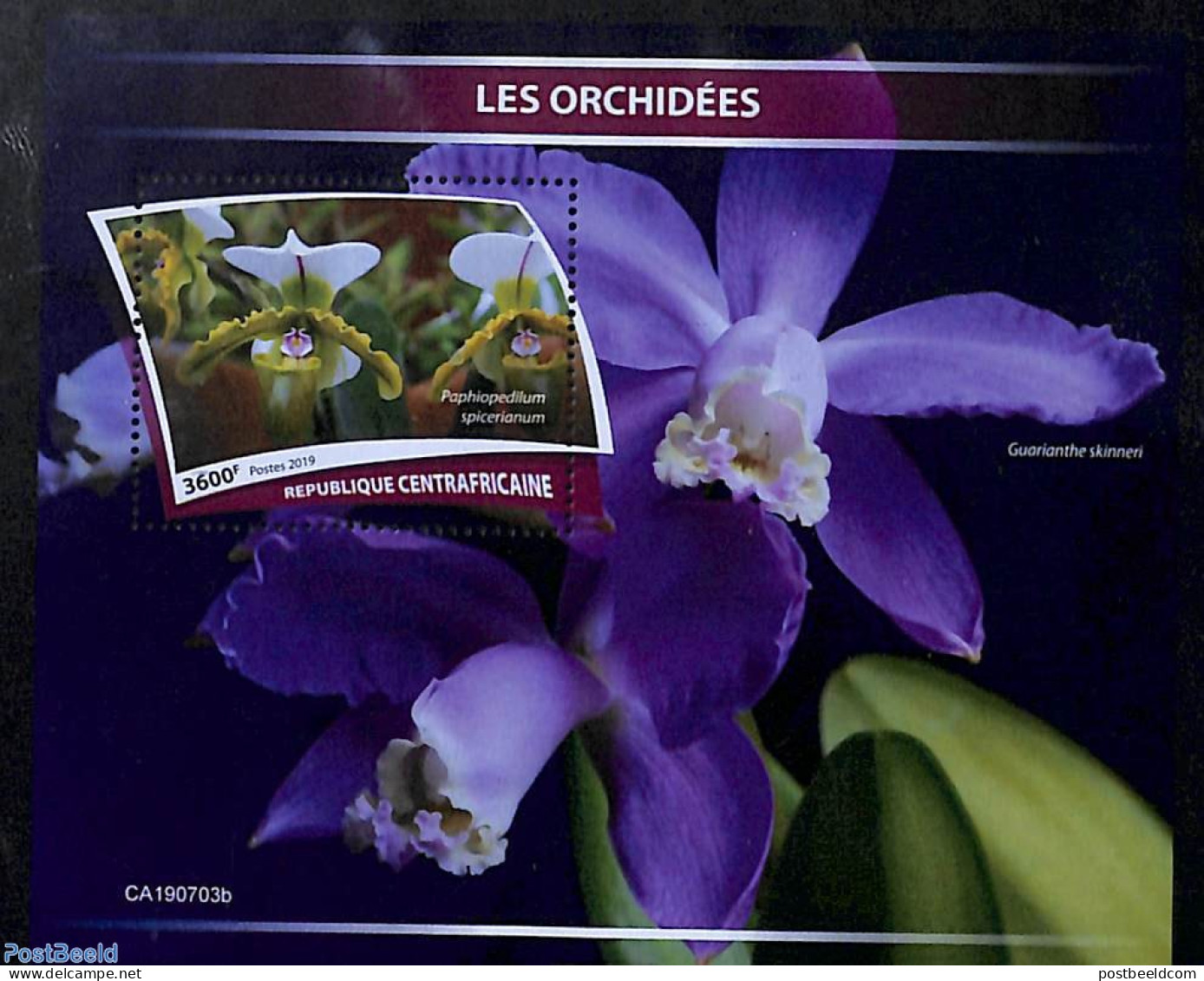 Central Africa 2019 Orchids S/s, Mint NH, Nature - Flowers & Plants - Orchids - Centraal-Afrikaanse Republiek