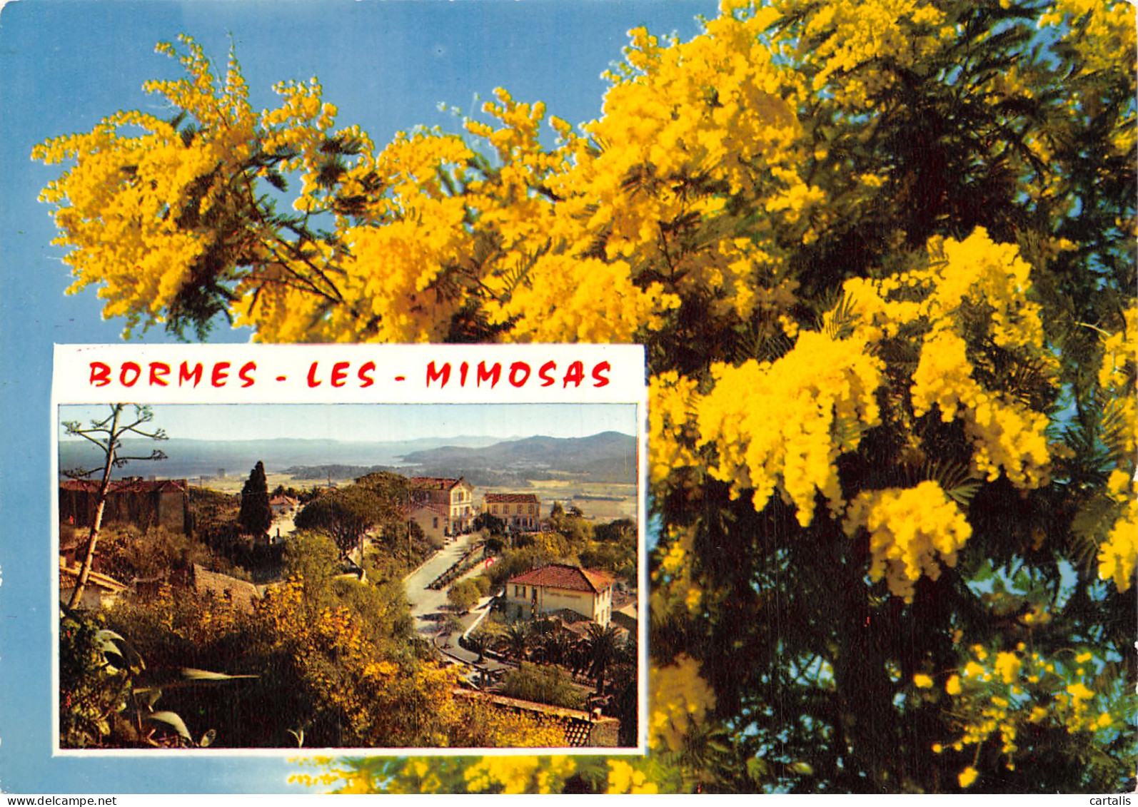 83-BORMES LES MIMOSAS-N°4254-A/0325 - Bormes-les-Mimosas
