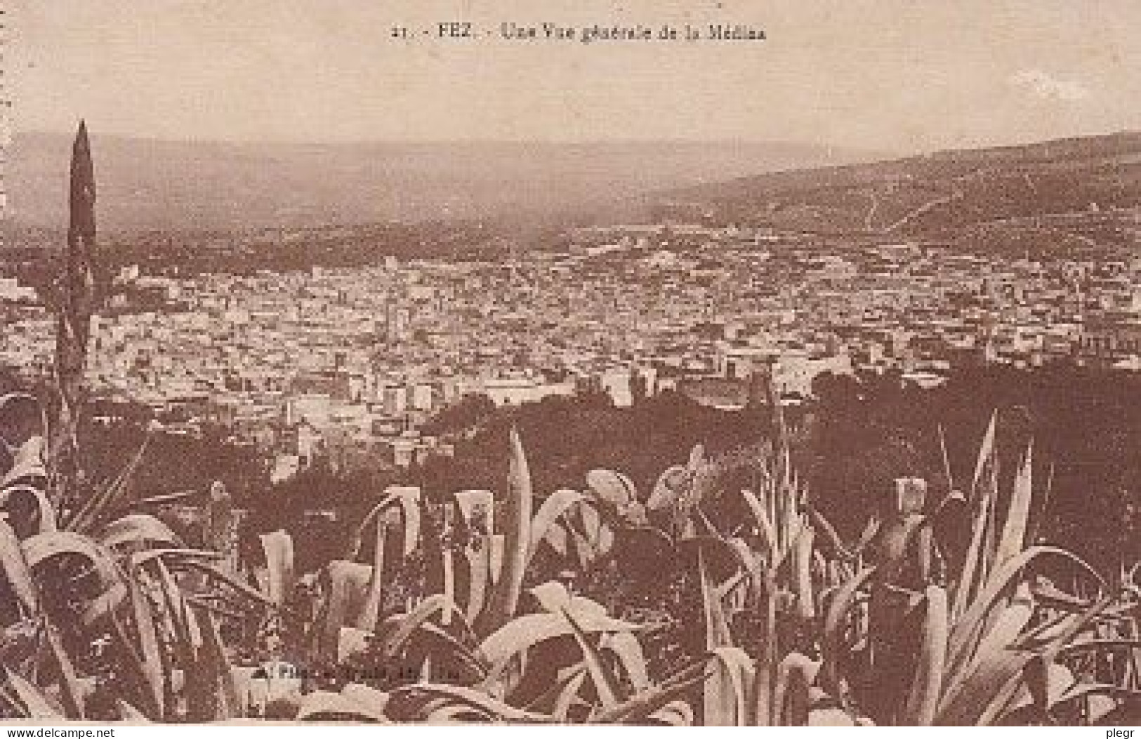 0-MAR03 01 18-19 - FEZ - UNE VUE GENERALE DE LA MEDINA - Fez