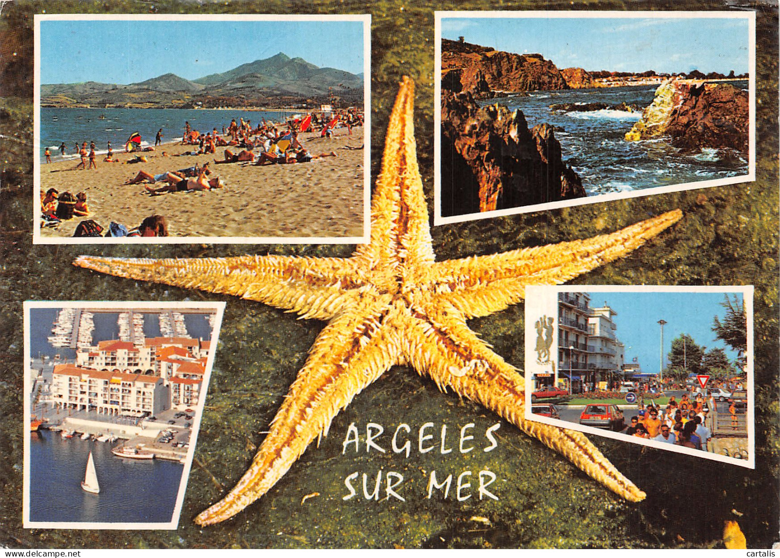 66-ARGELES SUR MER-N°4254-D/0139 - Argeles Sur Mer