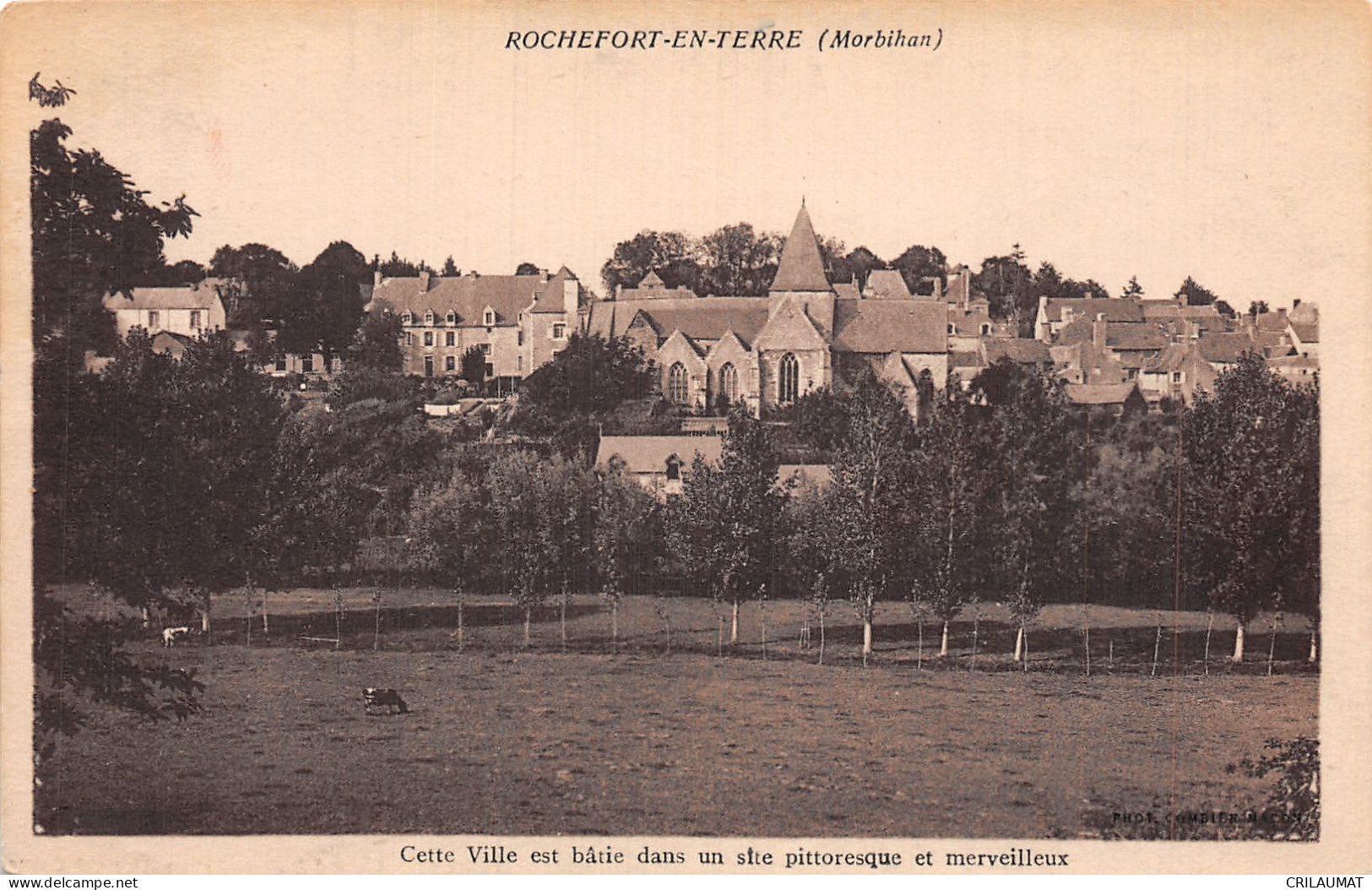 56-ROCHEFORT EN TERRE-N°T5061-B/0133 - Rochefort En Terre