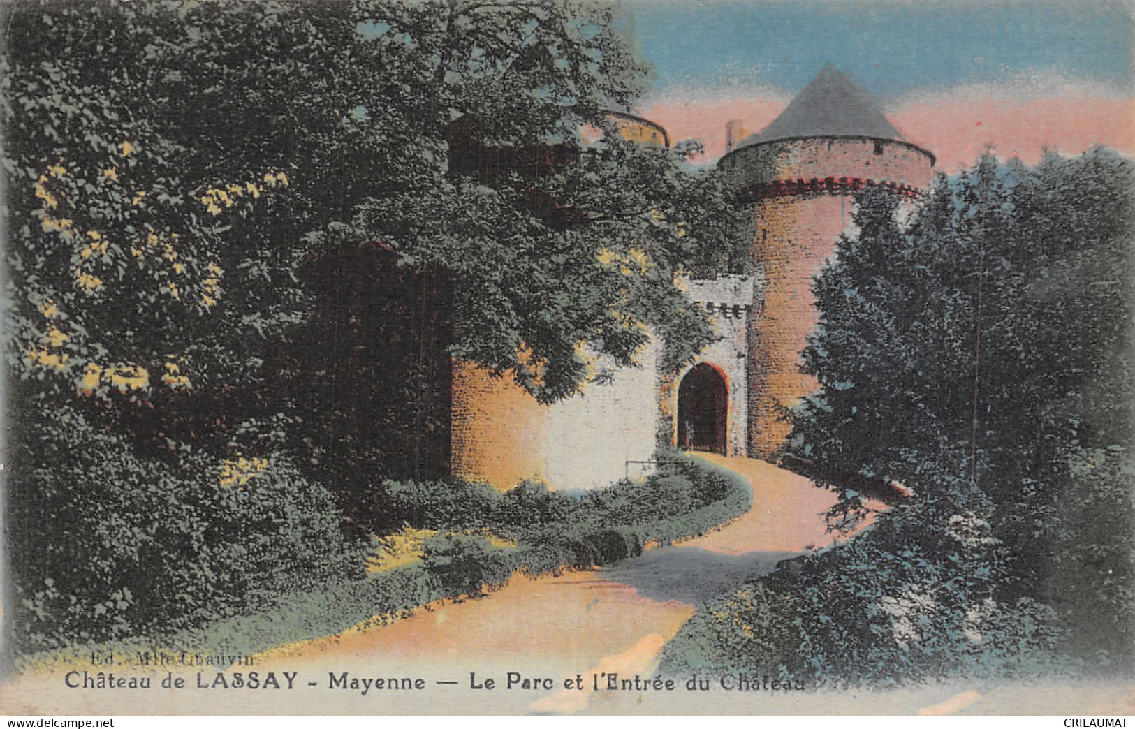 53-LASSAY-N°T5061-A/0239 - Lassay Les Chateaux