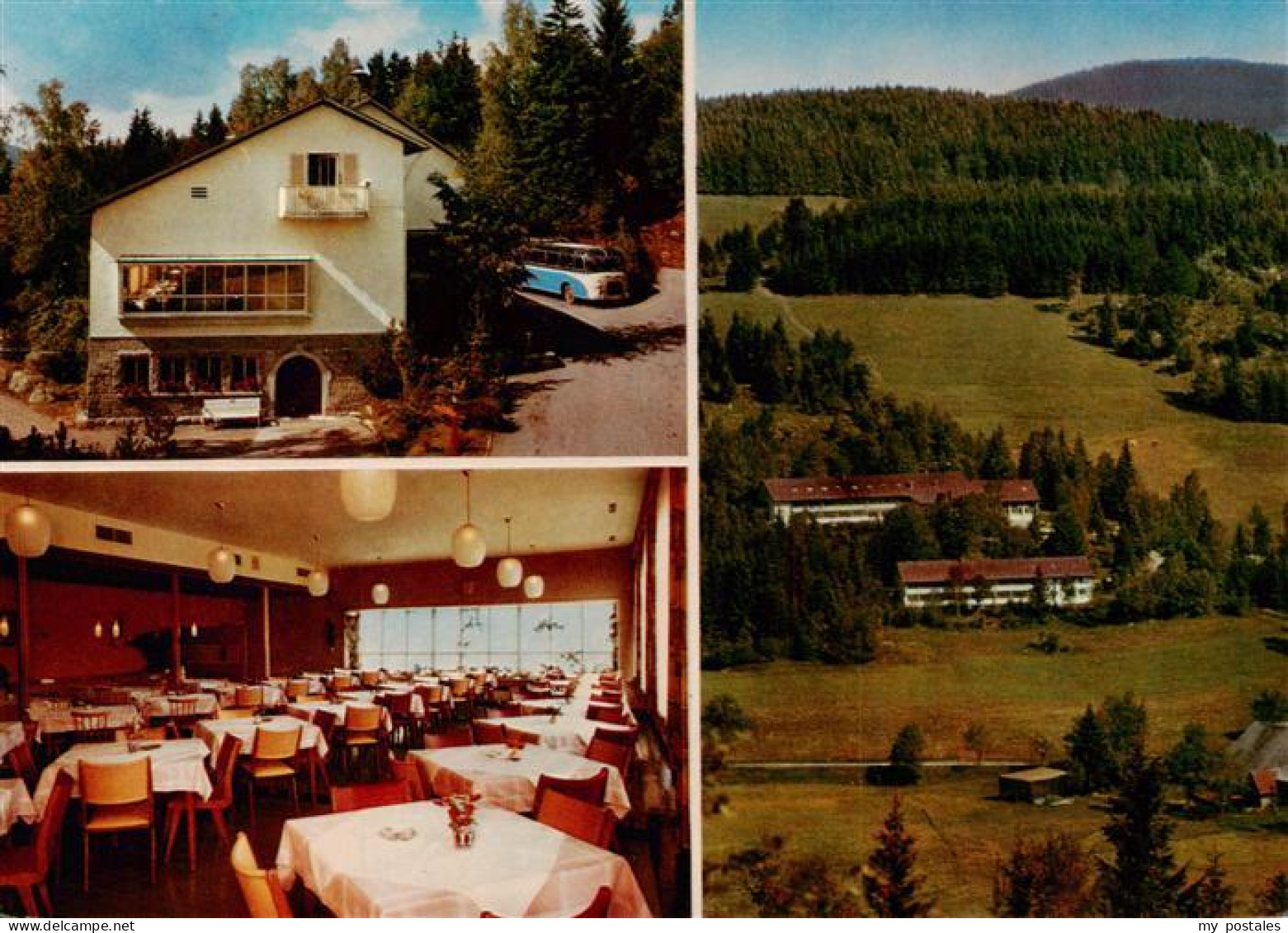 73928890 Hinterzarten Feuerwehrheim St Florian Gastraum Panorama - Hinterzarten