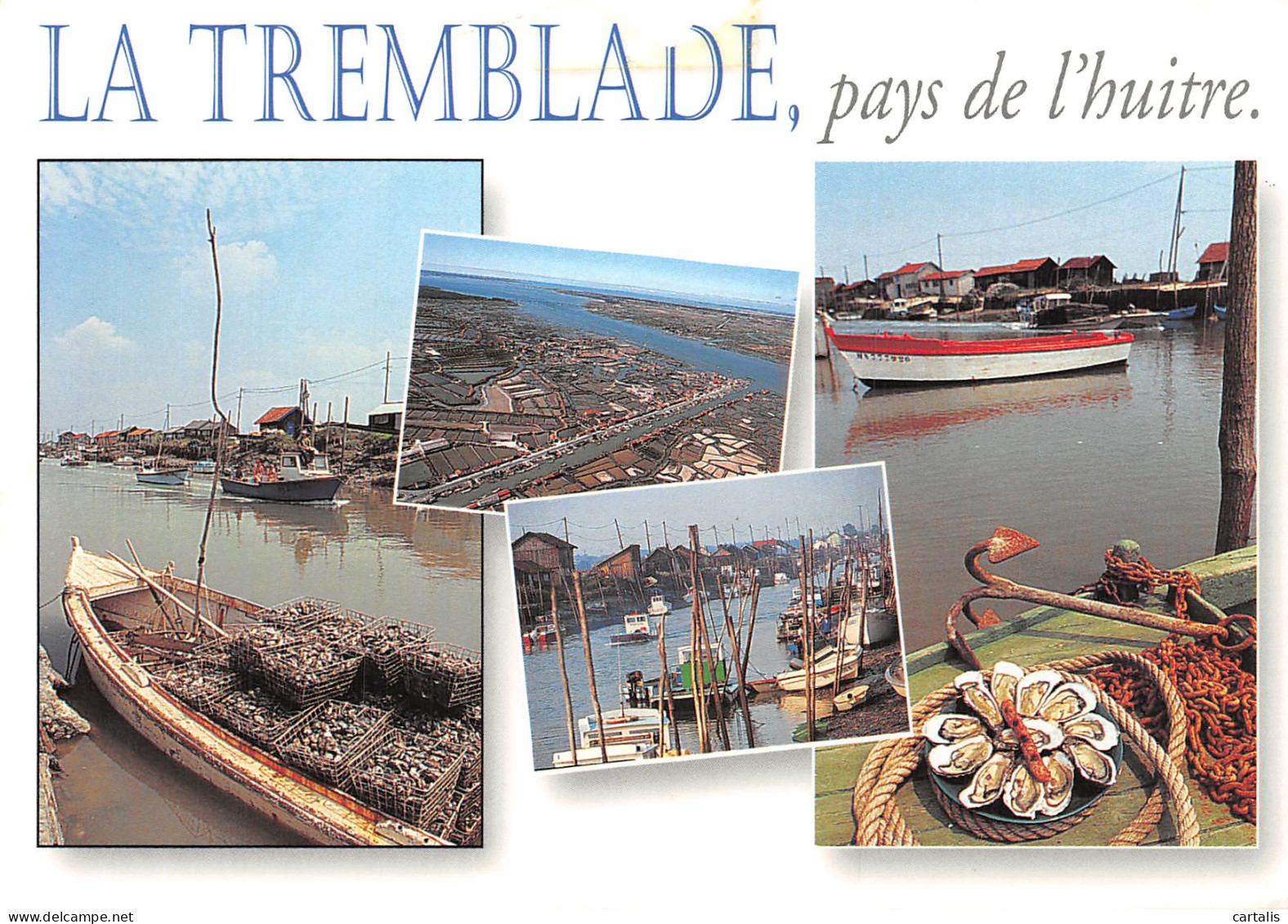 17-LA TREMBLADE-N°4256-B/0049 - La Tremblade