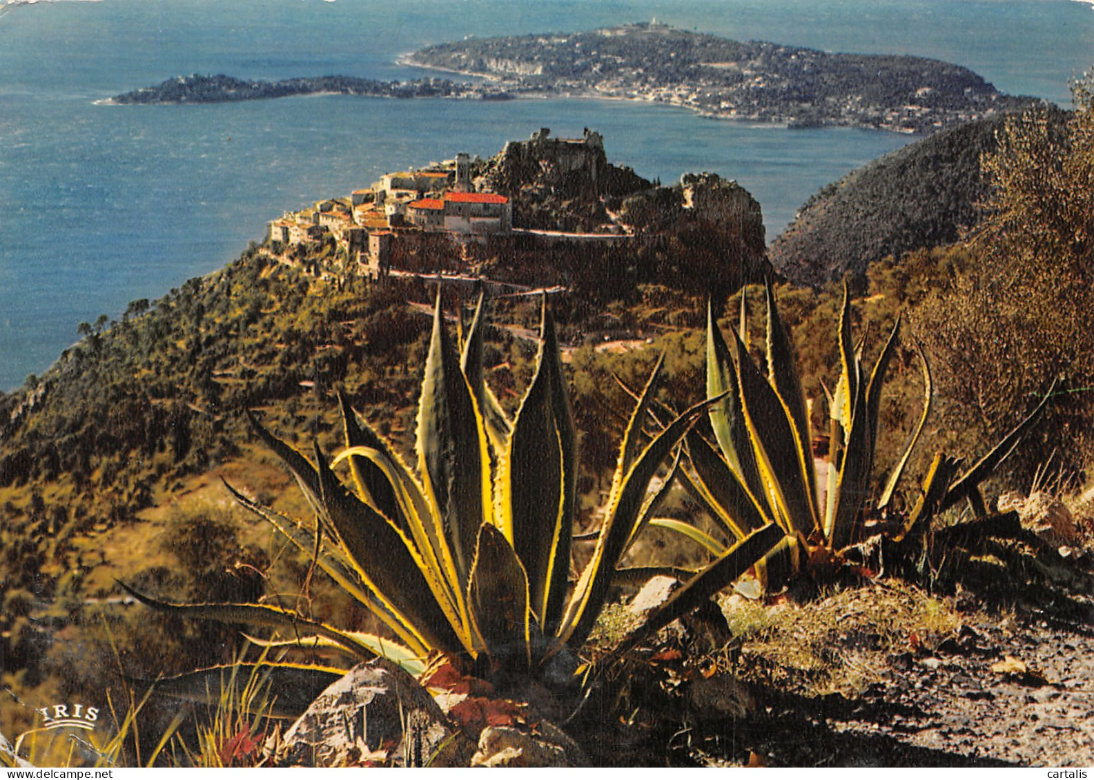 06-EZE LE CAP FERRAT-N°4256-A/0361 - Eze