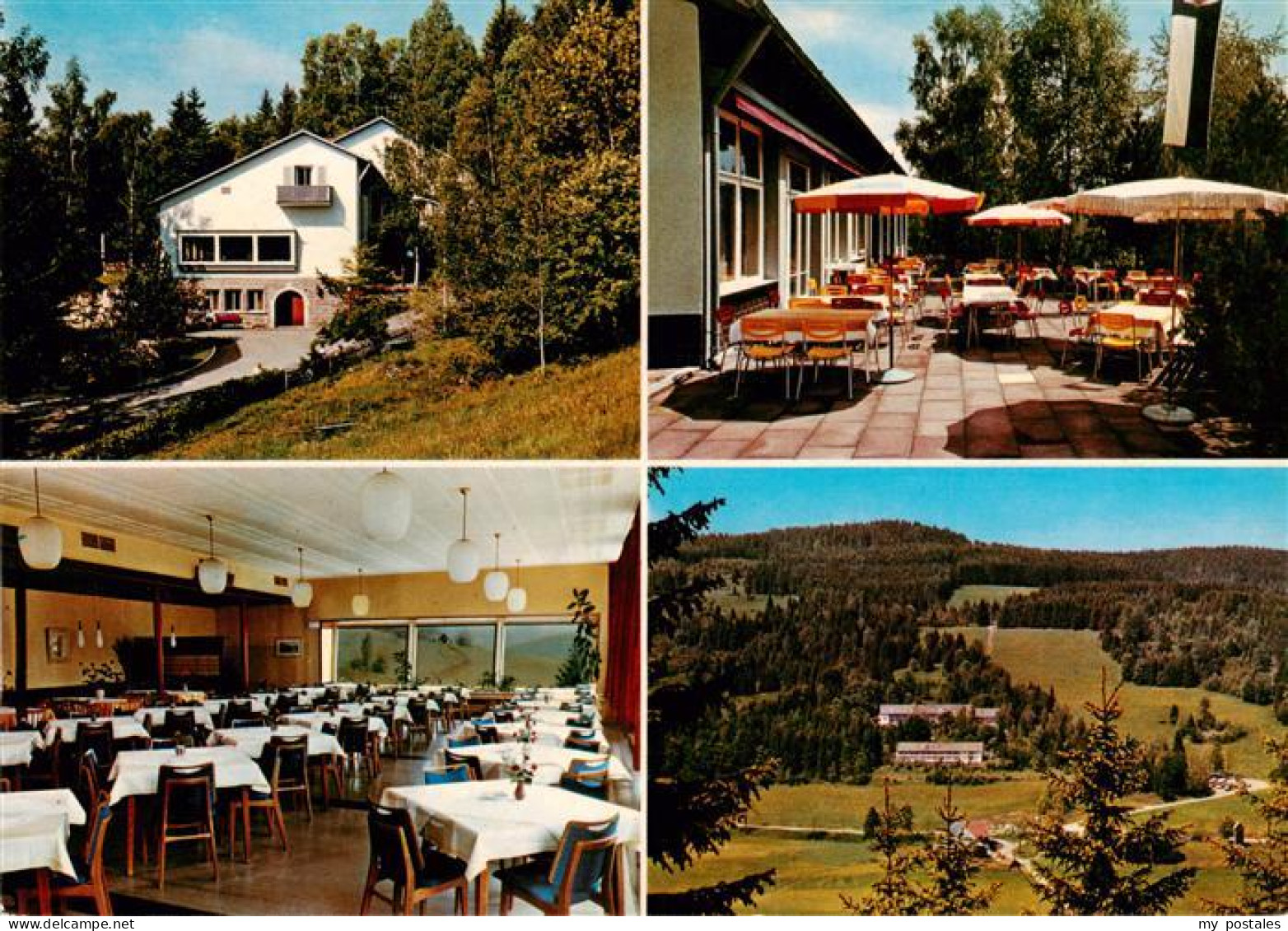 73928844 Hinterzarten Feuerwehrheim St Florian Gastraum Terrasse Panorama - Hinterzarten