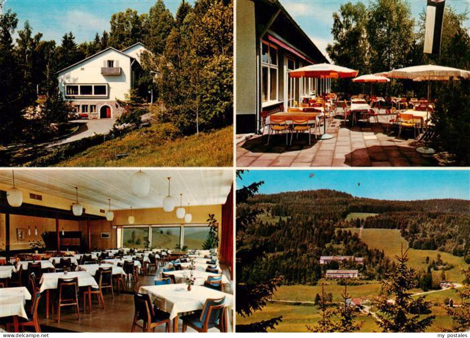 73928832 Hinterzarten Feuerwehrheim St Florian Gastraum Terrasse Panorama - Hinterzarten