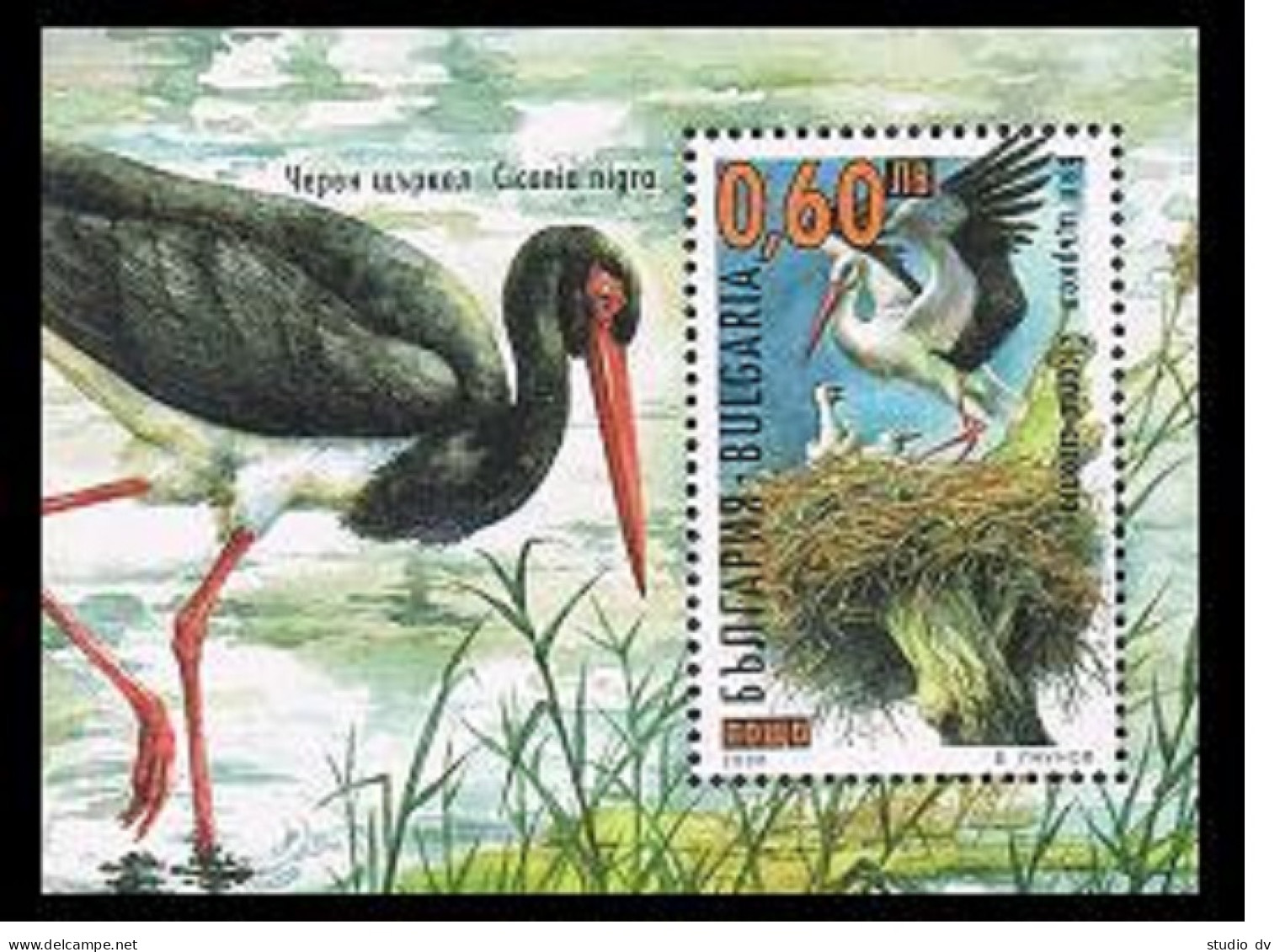Bulgaria 4127 Sheet, MNH. Michel 4449 Bl.242. Ciconia Ciconia, 2000. - Unused Stamps