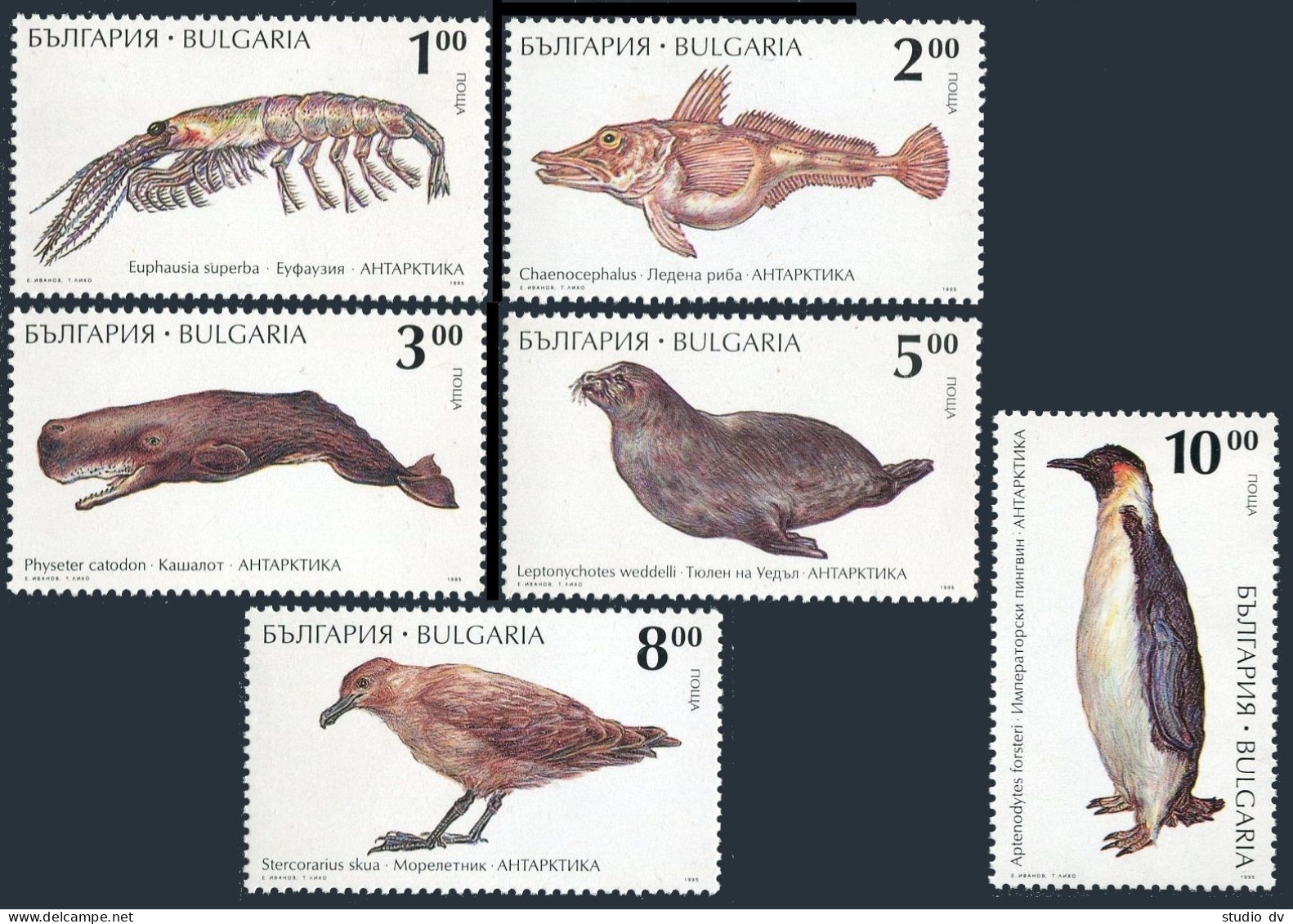 Bulgaria 3863-3868, MNH. Michel 4157-4162. Marine Life 1995. Fish, Birds, Whale. - Unused Stamps