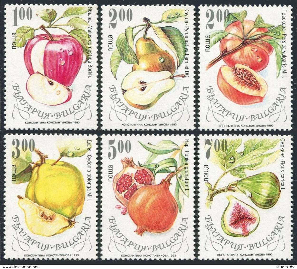 Bulgaria 3772-3777, MNH. Michel 4055-4060. Fruits 1993. - Nuovi