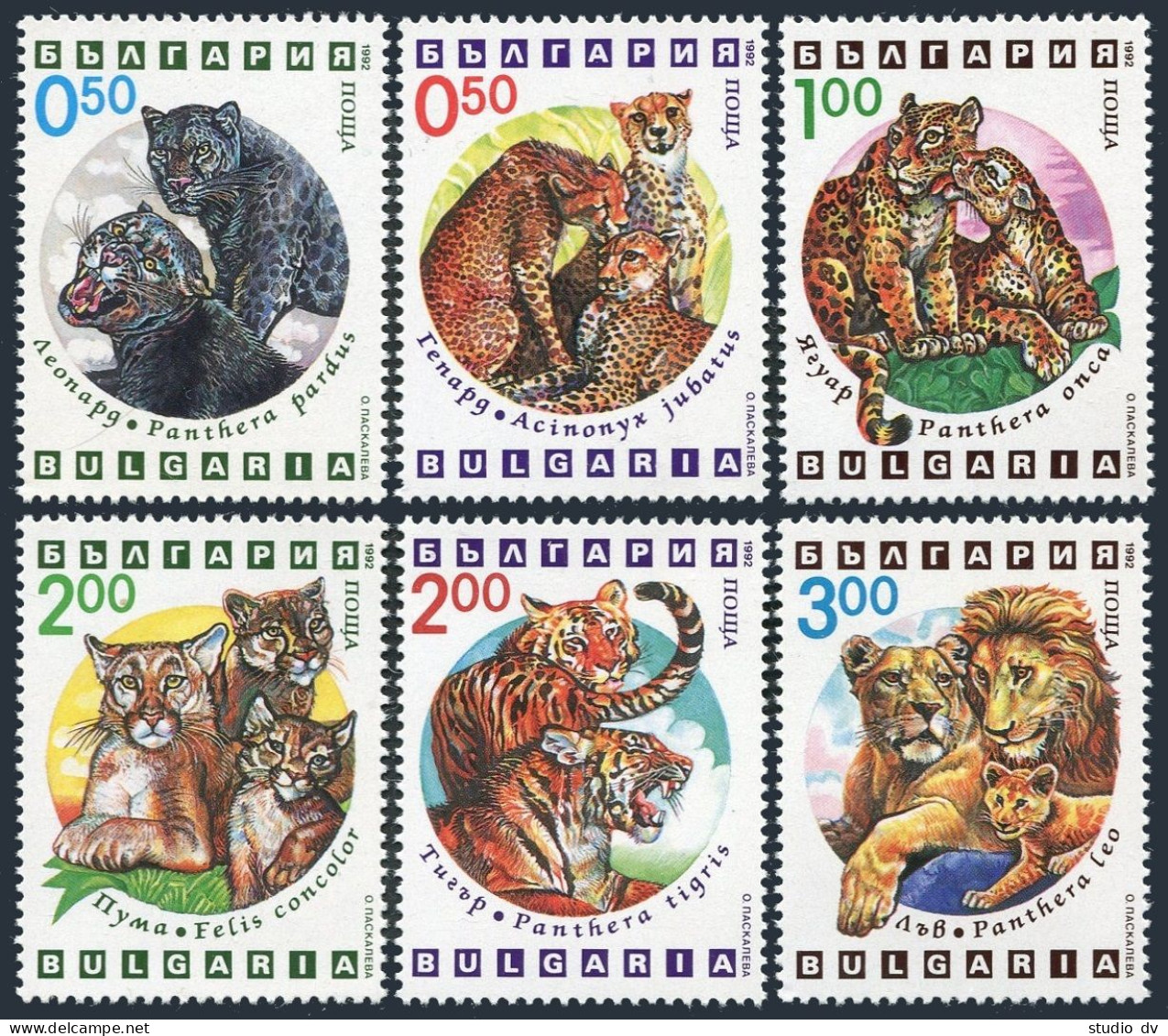 Bulgaria 3737-3742, MNH. Michel 4020-4025. Wild Cats, 1992. - Ungebraucht