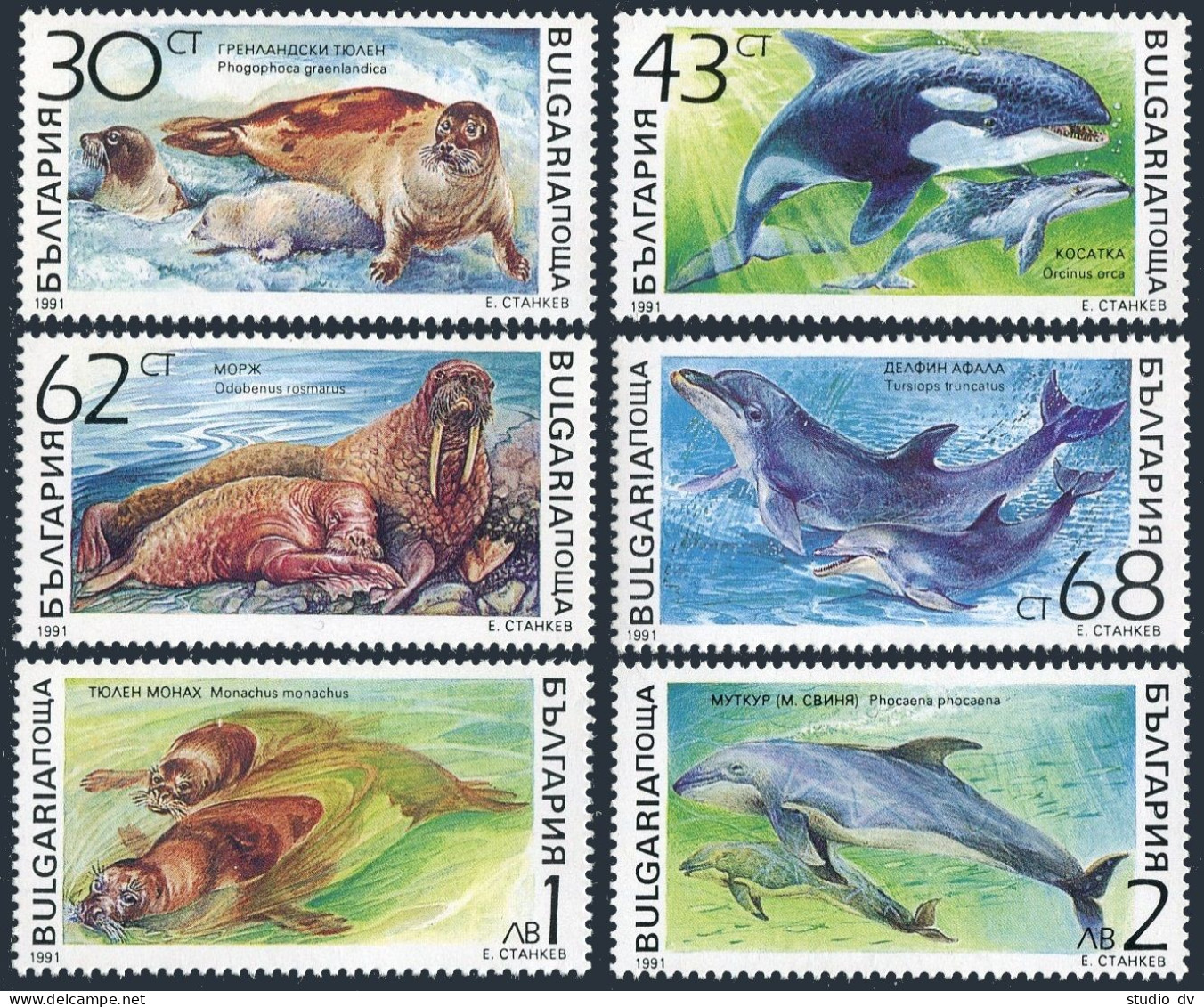 Bulgaria 3665-3670,MNH.Michel 3959-3964. Save The Ocean,1991. Marine Mammals. - Neufs