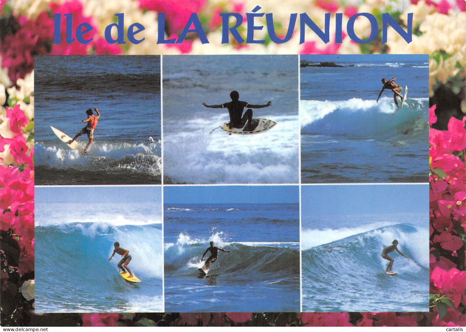974-LA REUNION LE SURF-N°4258-B/0251 - Autres & Non Classés