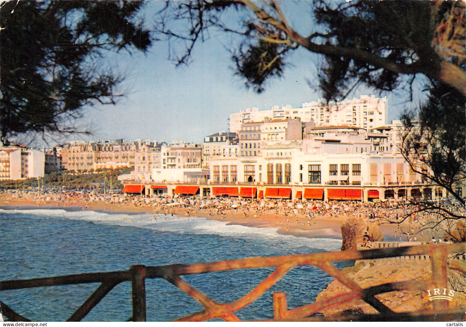 64-BIARRITZ-N°4258-A/0267 - Biarritz