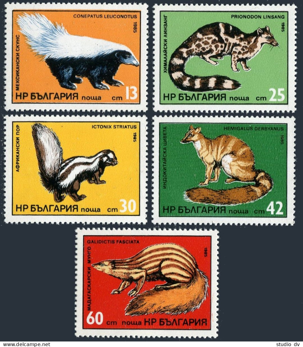 Bulgaria 3035-3039,MNH.Michel 3333-3337. Predators 1985.Conepatus Leuconotus, - Used Stamps