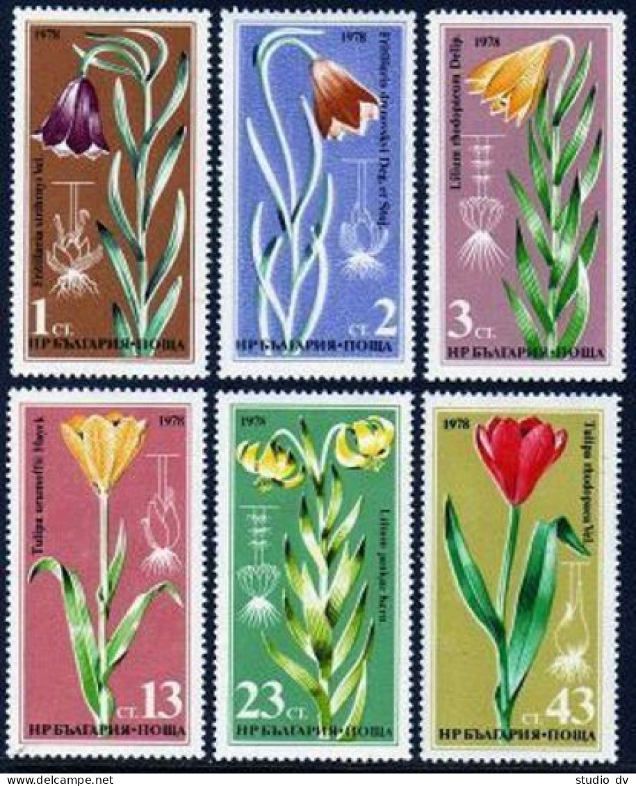 Bulgaria 2503-2508, MNH. Michel 2686-2691. Rare Flowers 1978. - Nuevos