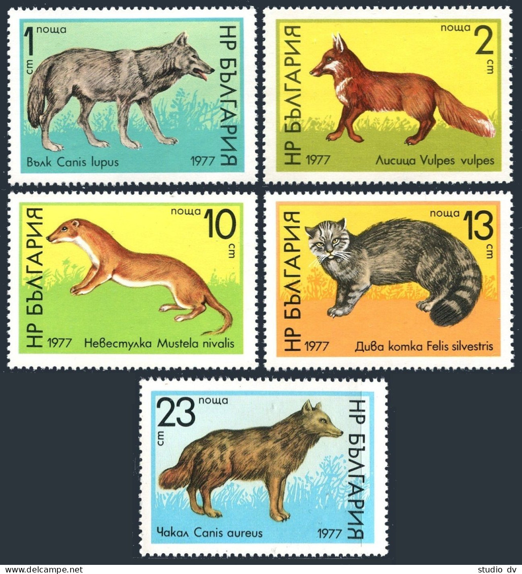 Bulgaria 2404-2408, MNH. Mi 2597-2601. Wild Animals 1977. Wolf, Red Fox, Weasel, - Nuevos