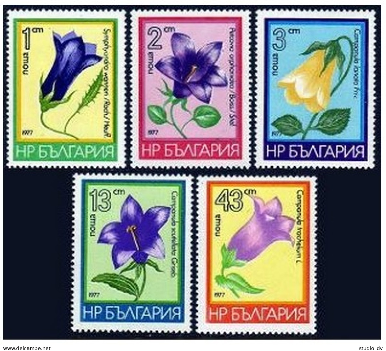 Bulgaria 2397-2401, MNH. Michel 2569-2573. Bell-flowers 1977. - Ongebruikt
