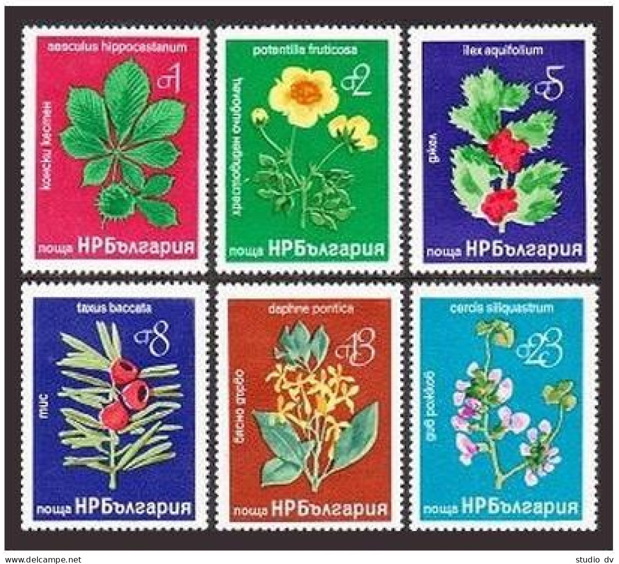 Bulgaria 2369-2374, MNH. Mi 2540-2545. Flowers 1976. Chestnut, Finquefoil, Holly - Nuovi