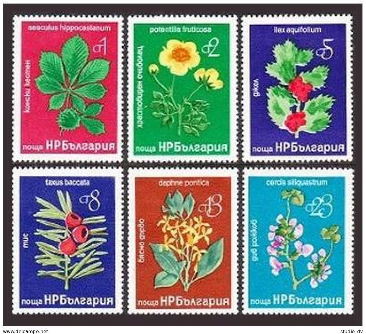 Bulgaria 2369-2374, MNH. Mi 2540-2545. Flowers 1976. Chestnut, Finquefoil, Holly - Ungebraucht