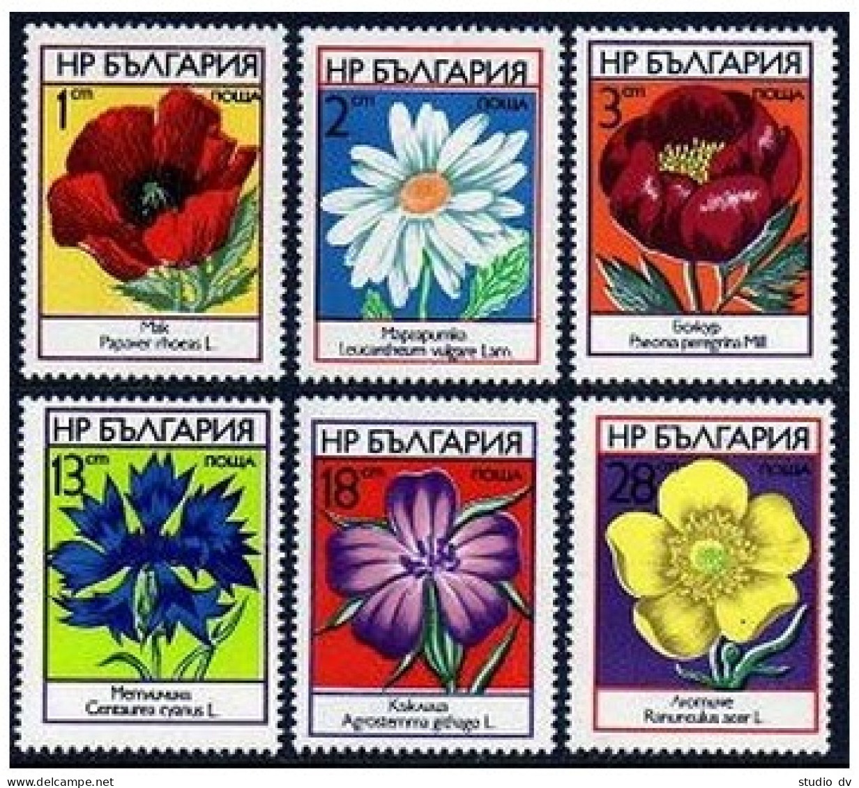 Bulgaria 2088-2093, MNH. Mi 2234-2239. Wild Flowers 1973. Poppy,Daisy,Peony,Corn - Ungebraucht
