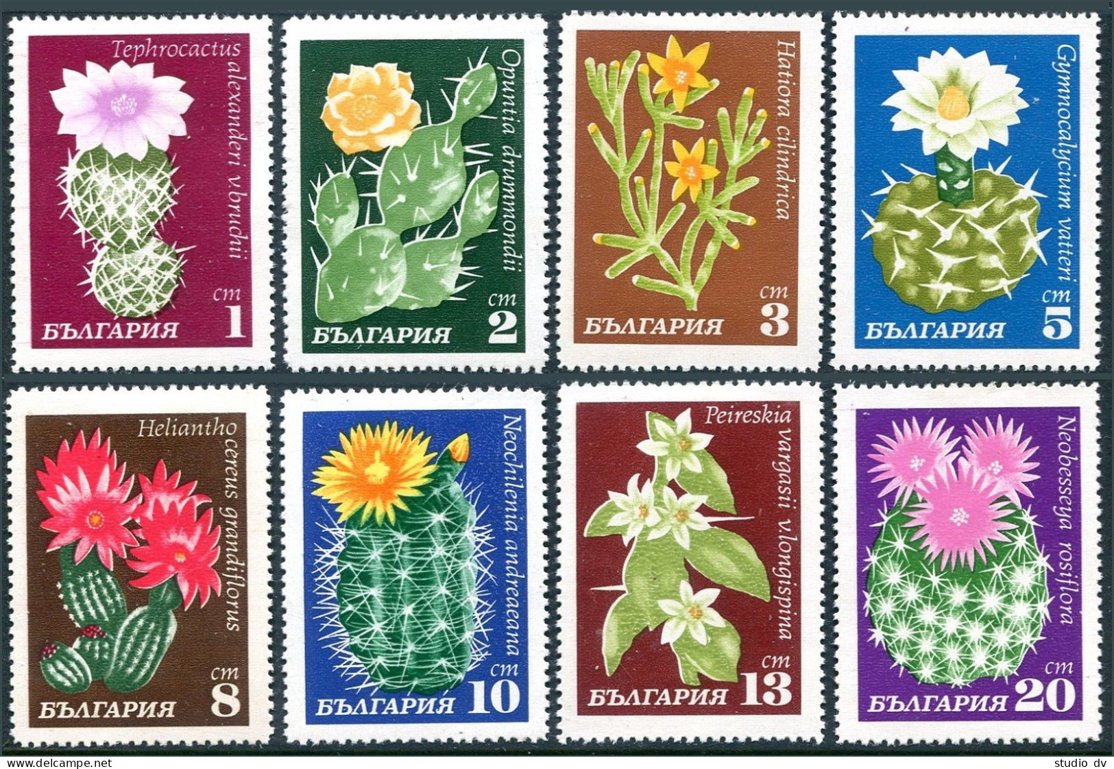 Bulgaria 1851-1858, MNH. Michel 1991-1998. Cacti 1970. - Unused Stamps