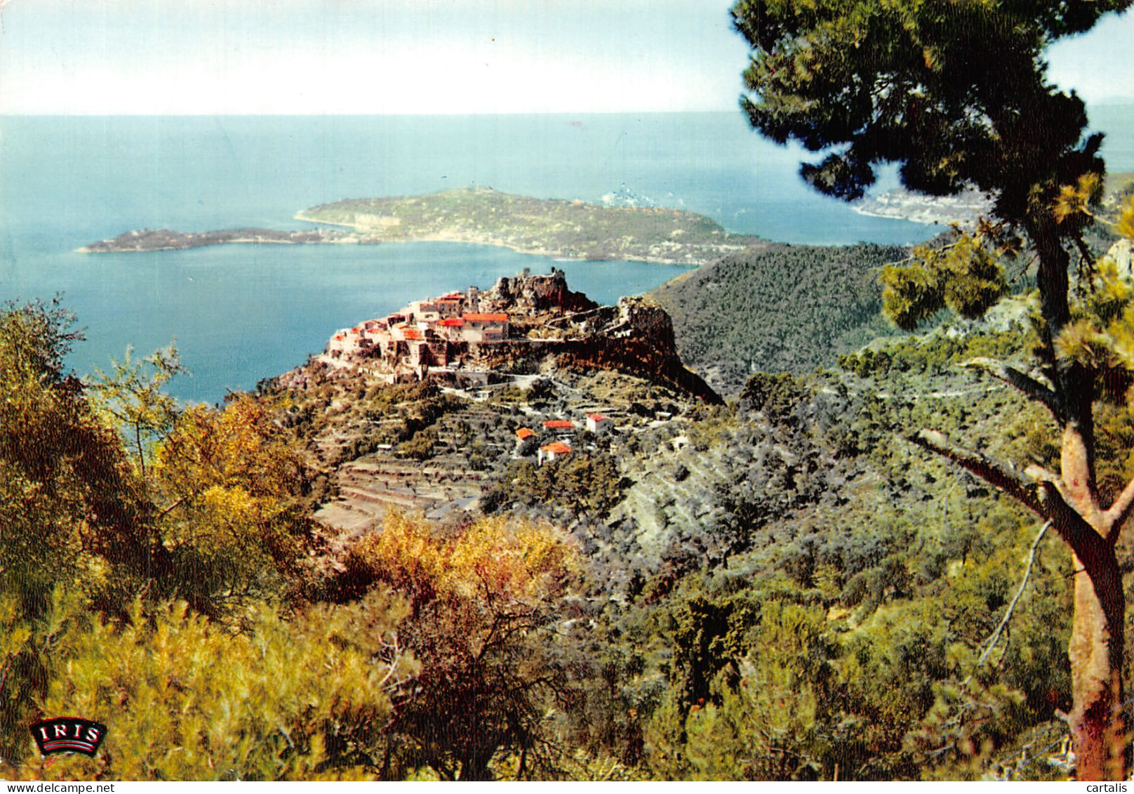 06-EZE ET LE CAP FERRAT-N°4259-A/0115 - Eze