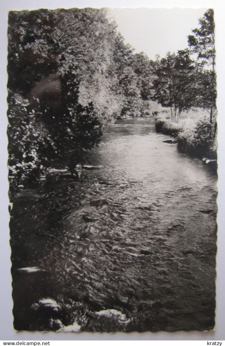 BELGIQUE - LUXEMBOURG - SAINTE-ODE - LAVACHERIE - L'Ourthe - 1964 - Sainte-Ode