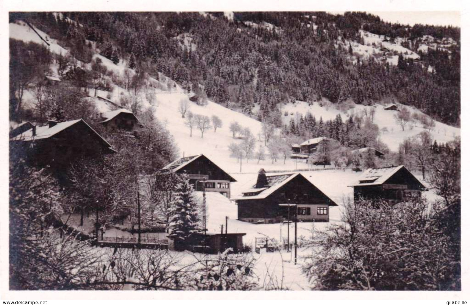 74 - Haute Savoie -  SAINT GERVAIS Les BAINS  -  Les Campanules - Saint-Gervais-les-Bains