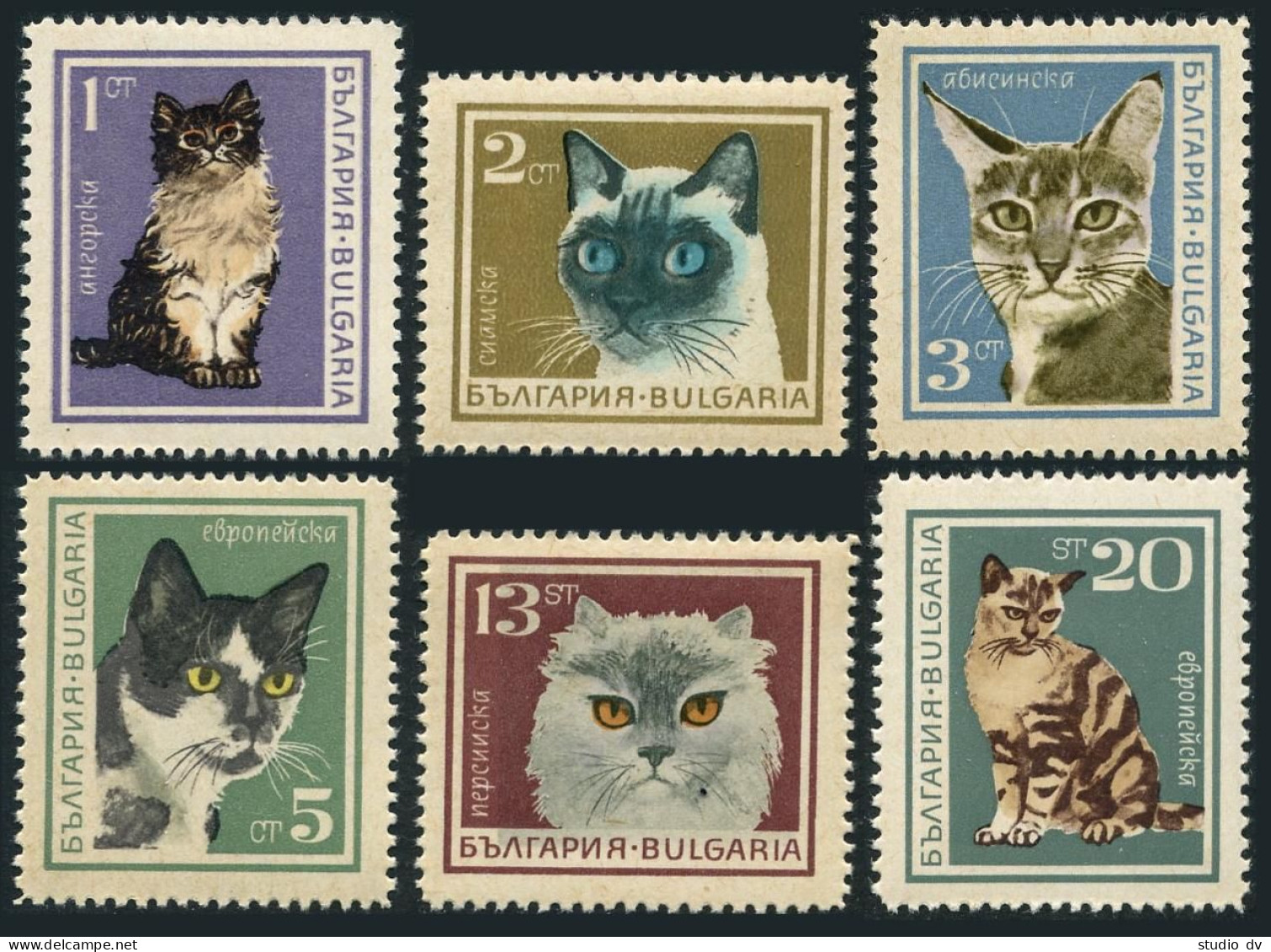 Bulgaria 1588-1593, MNH. Mi 1717-1722. Cats 1967. Angora, Siamese, Abyssinian, - Ungebraucht