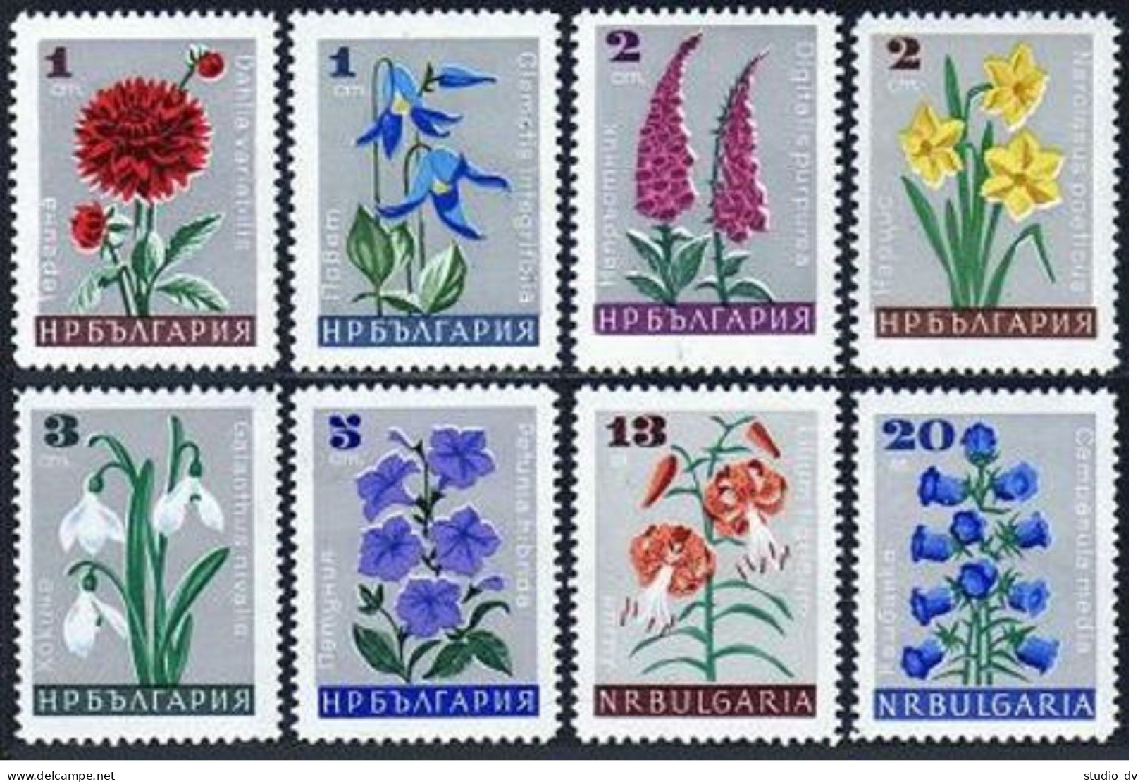 Bulgaria 1556-1563, MNH. Mi 1683-1690. Flowers 1966. Dahlia, Clematis,Fox-glove, - Neufs