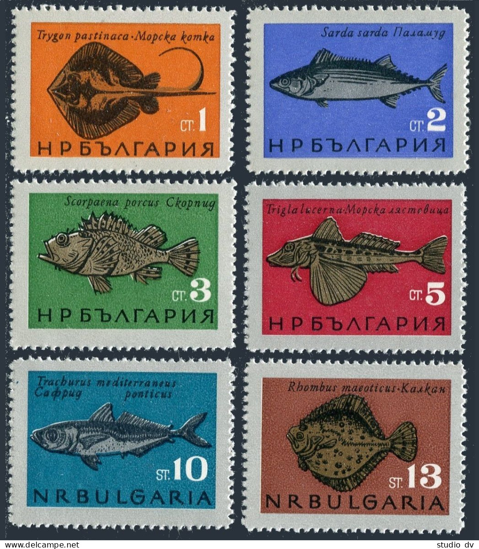 Bulgaria 1403-1408, MNH. Michel 1542-1547. Black Sea Fish, 1965. - Nuovi