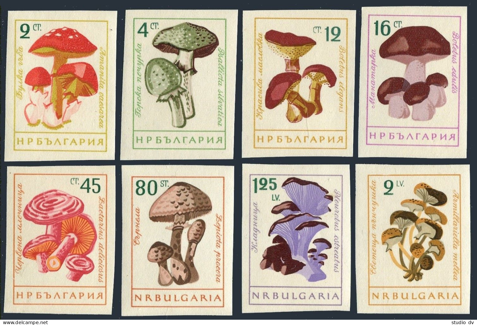 Bulgaria 1183-1190 Imperf, MNH. Michel 1271-1278. Mushrooms 1961. - Unused Stamps