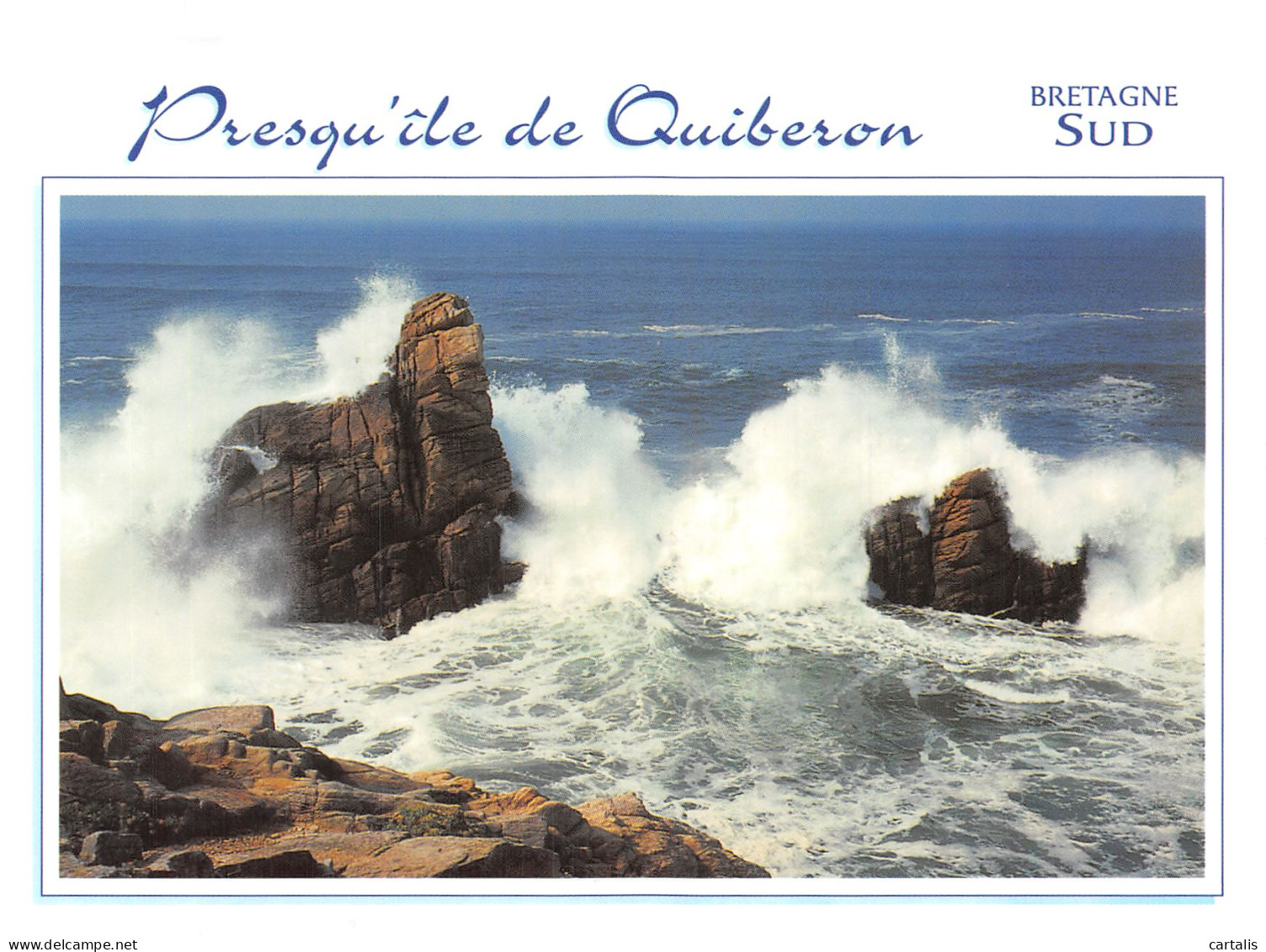 56-QUIBERON-N°4259-B/0293 - Quiberon