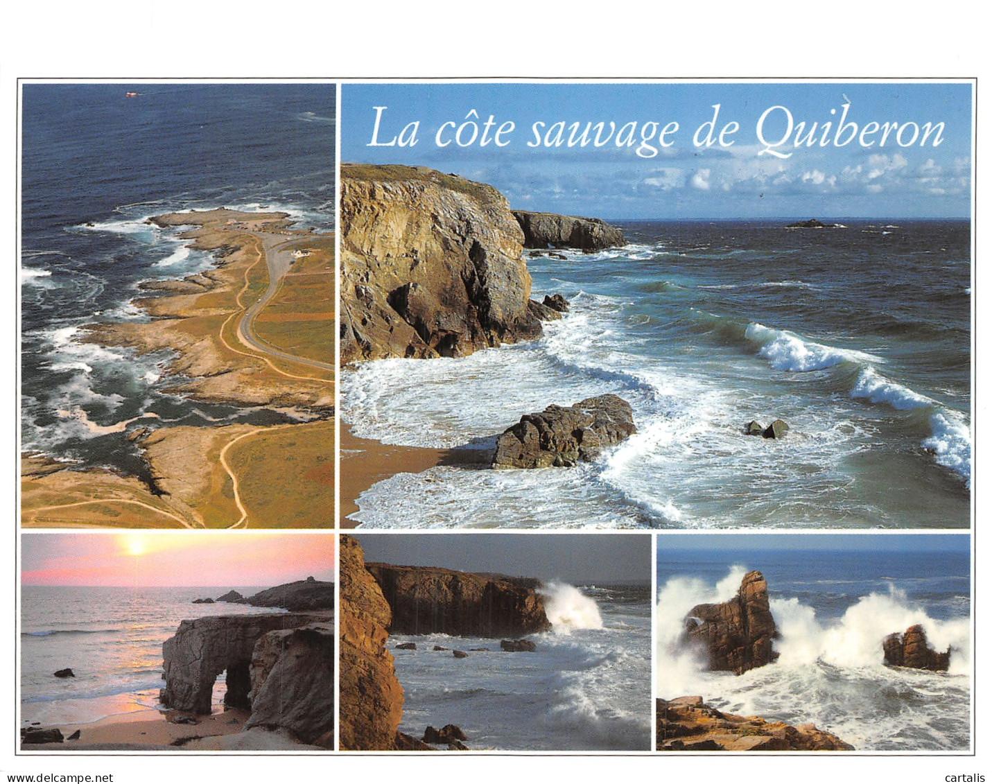 56-QUIBERON-N°4259-B/0283 - Quiberon