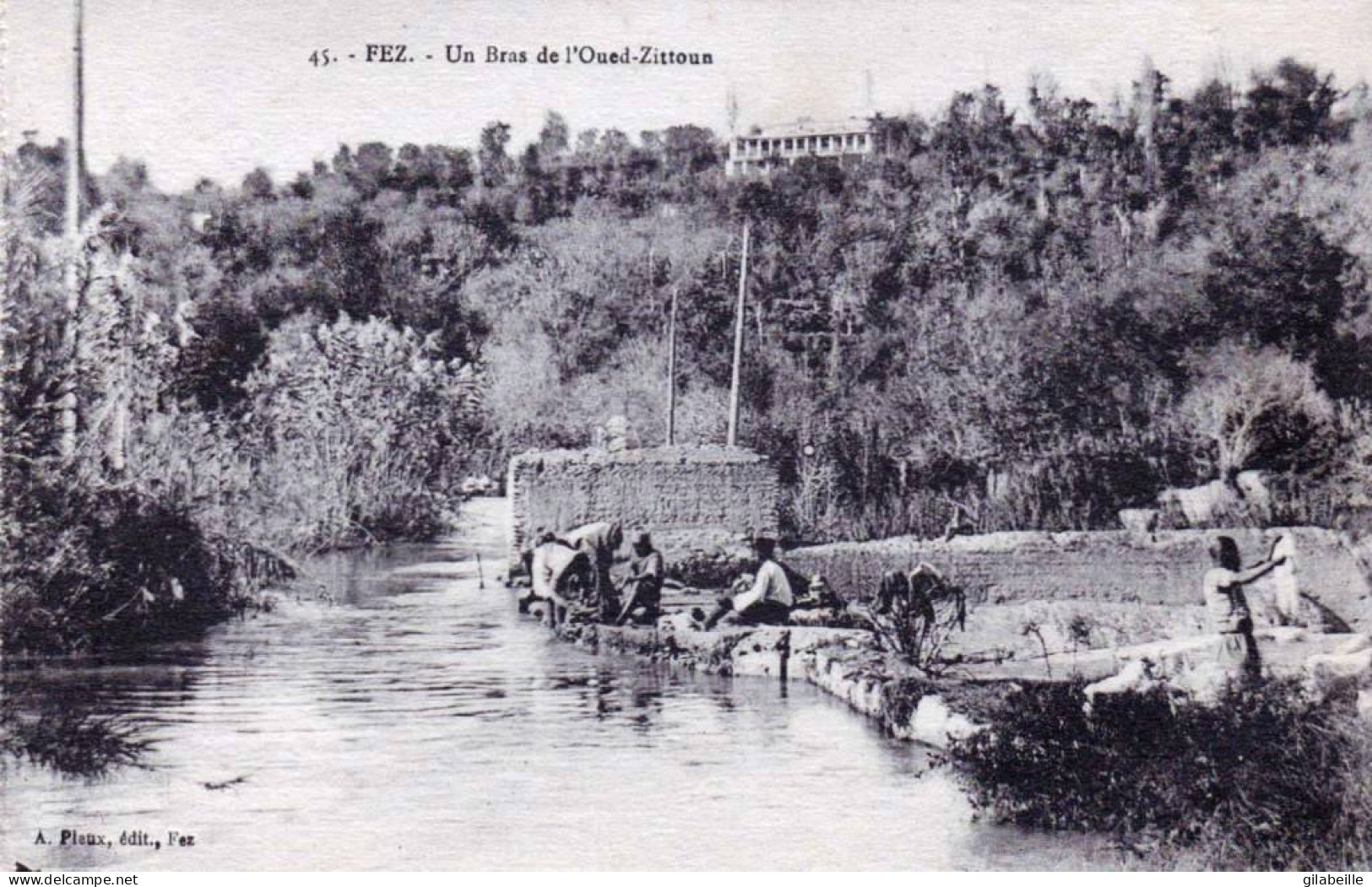 Maroc - FEZ - FES -  Un Bras De L'Oued Zittoun - Fez