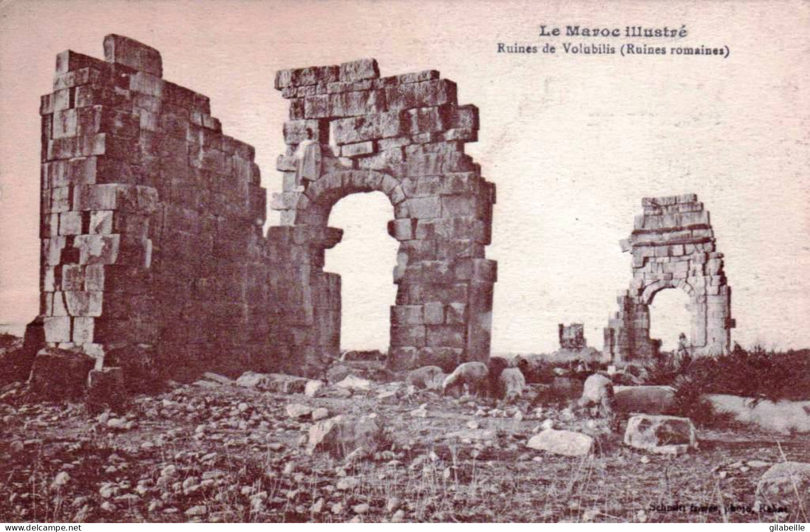 Maroc -  Ruines De Volubilis ( Ruines Romaines )  - Autres & Non Classés